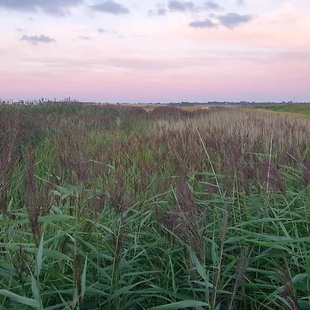 Seaside Luxury Retreat - By Traum * הדרסלב